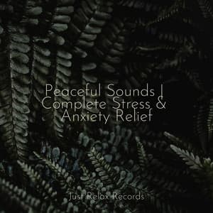 Peaceful Sounds | Complete Stress & Anxiety Relief - Lounge relax