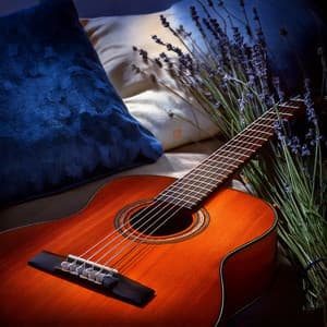 Sleep Harmonies: Soothing Guitar Music for Rest - Some Guitar Songs