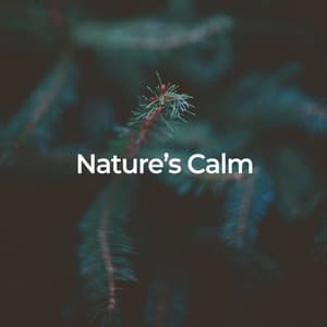 Nature's Calm: Deep Sleep Sounds - Naturalis
