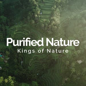 Purified Nature - Kings of Nature