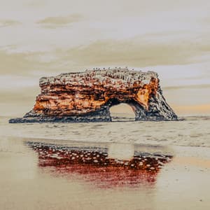 50 Tranquil Water Songs: Cascading into Peace - Seascapers