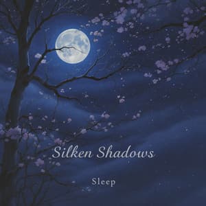 Silken Shadows - Lofi Quality Content