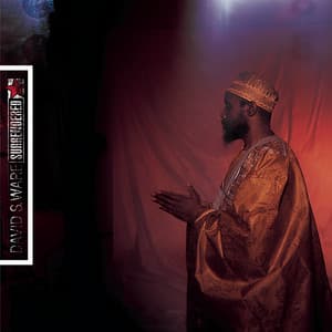 Surrendered - David S. Ware