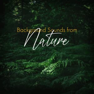 Background Sounds from Nature - Forest Hills Music Universe
