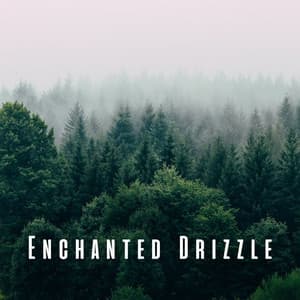 Enchanted Drizzle: Forest Rain Meditations - Baltic Nature Sounds