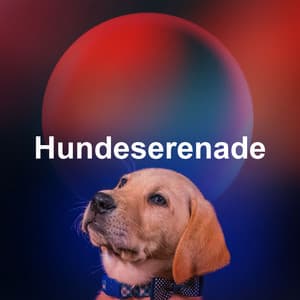 Hundeserenade - Beruhigende Musik für Hunde