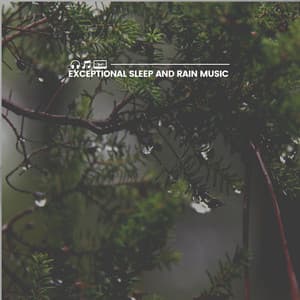 Exceptional Sleep and Rain Music - Rain Meditations