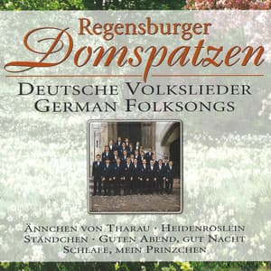 Deutsche Volkslieder - German Folksongs - Regensburger Domspatzen