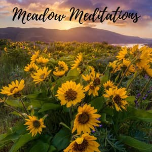 Meadow Meditations - Decidic FX