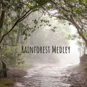 Rainforest Medley - High Altitude Samples