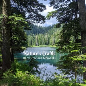 Nature's Cradle: Baby Precious Moments - Nature Sounds Library