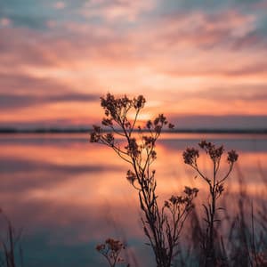 Eve at Night - Música Relajante