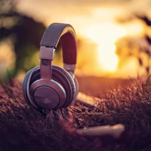 Lofi Beats: Balanced Melodic Tunes - Hz Lifeforce Energy