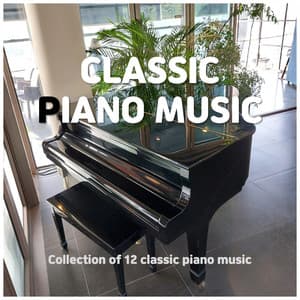 12 Classical Piano Music - ASMR
