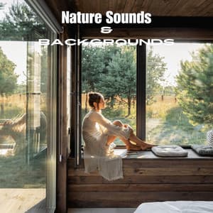 Leafy Retreat of Relaxation - Nature Sounds & Backgrounds