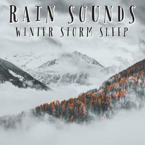 Rain Sounds Winter Storm Sleep - Natural Sound Makers
