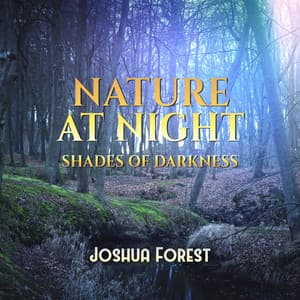 Nature at Night - Joshua Forest