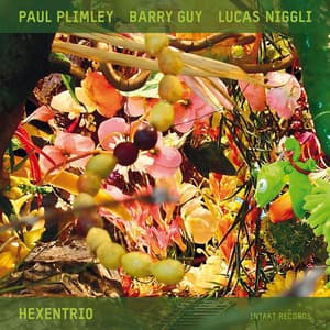 Hexentrio - Paul Plimley