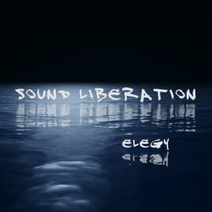 Elegy - Gene Pritsker