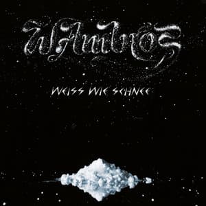 Weiss wie Schnee - Wolfgang Ambros