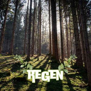 Gentle Rain Therapy for Stress Relief - Regengeräusche