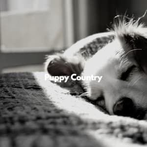 Puppy Country - Bakery Music