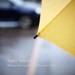 Rain Sounds: Sleepy Downpour for Relaxation Vol. 1 - Liquid Planet Recordings