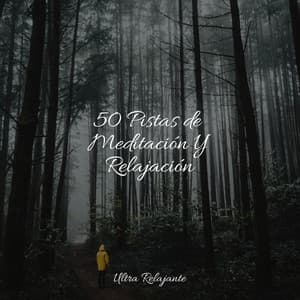 50 Pistas de Meditación Y Relajación - Yoga Para Ninos