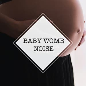 Baby Womb Noise - Baby Womb Noise