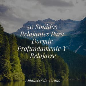 50 Sonidos Relajantes Para Dormir Profundamente Y Relajarse - Música para Correr
