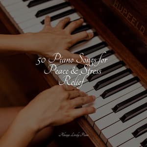 50 Piano Songs for Peace & Stress Relief - Instrumental Piano Universe