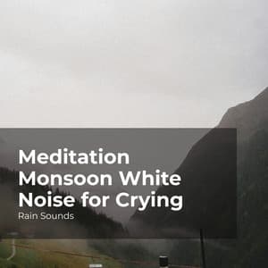 Meditation Monsoon White Noise for Crying - Rain Sounds