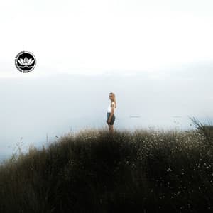 Inner Sky Vagal Transmission - Healing Meditation Zone