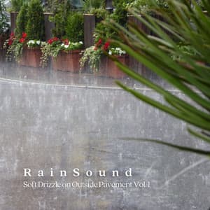 Rain Sound: Soft Drizzle on Outside Pavement Vol. 1 - Nature Label