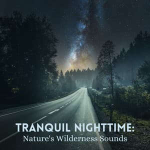 Tranquil Nighttime: Nature's Wilderness Sounds - Nature on Record