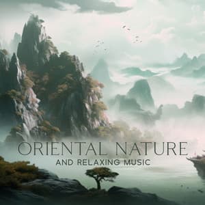 Oriental Nature and Relaxing Music - Deep Buddhist Meditation Music Set