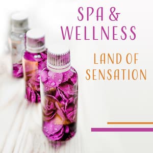 Spa & Wellness - Chilling Spa Universe