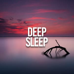 Deep Sleep - Sleep Music