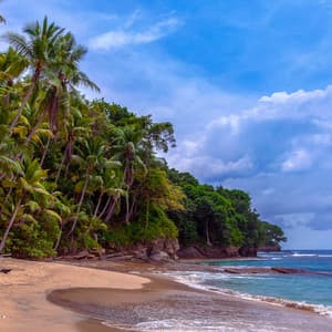 1 Coastal Night: Sleepy Waters - Seascapers