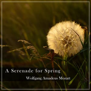 "A Serenade for Spring" - Mozart - Wolfgang Amadeus Mozart