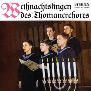 Weihnachtssingen des Thomanerchores - Thomanerchor Leipzig
