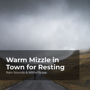 Warm Mizzle in Town for Resting - Rain Sounds & White Noise