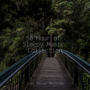 50 Hour of Sleepy Music Collection - Sonidos De Lluvia y Tormentas