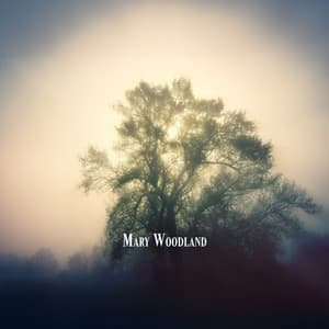 First Light Between Branches - Mary Woodland