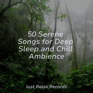 50 Serene Songs for Deep Sleep and Chill Ambience - Relaxing Mindfulness Meditation Relaxation Maestro
