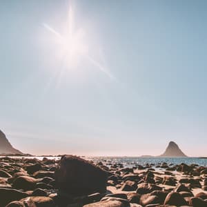 Mediation Moment - Yoga Flow