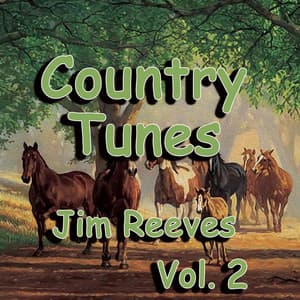 Country Tunes, Vol. 2 - Jim Reeves