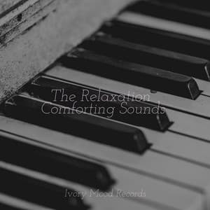 The Relaxation Comforting Sounds - Ivory Mood