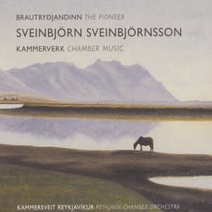 Sveinbjörn Sveinbjörnsson - Brautryðjandinn - Sveinbjörn Sveinbjörnsson