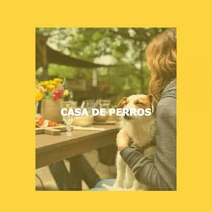CASA DE PERROS - Evening Chillout Playlist